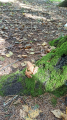 IMG-20240912-WA0005.jpg