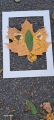 image25.jpeg
