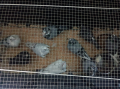 IMG-20250907-WA0014.jpg